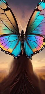 Vibrant butterfly on sunset background wallpaper.