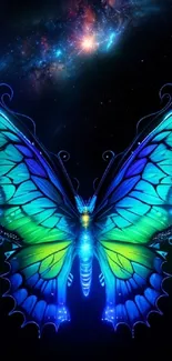 Colorful butterfly wallpaper with cosmic background.