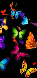 Colorful butterflies with black background mobile wallpaper.