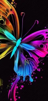 Colorful butterfly artwork on black background.