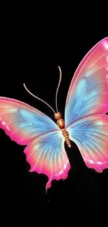 Pink and blue butterfly on black background wallpaper.