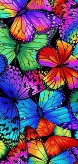 Colorful butterfly wallpaper with vibrant hues.