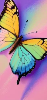 Vibrant butterfly in blue, yellow, and pink on a mobile wallpaper.