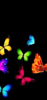 Vibrant butterflies on a black background mobile wallpaper.