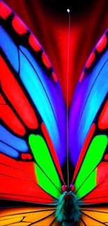 Colorful butterfly wings with vibrant patterns for mobile wallpaper.