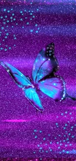 Purple glitter wallpaper with blue butterfly.