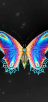 Colorful butterfly on a dark background wallpaper.