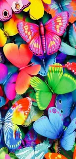 Vibrant, colorful butterflies in an artistic design on a mobile wallpaper.