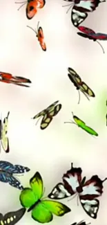 Colorful butterflies in flight wallpaper with a vibrant green hue.