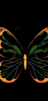 Vibrant butterfly with orange and green wings on a dark background.