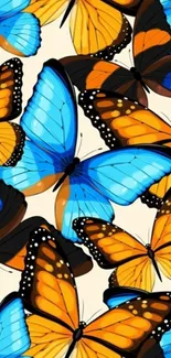 Vibrant wallpaper of blue and orange butterflies on a light background.