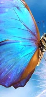 Blue butterfly resting on a dandelion against a blue sky.