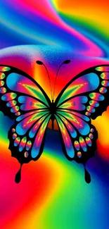 Colorful rainbow butterfly wallpaper with vibrant hues.