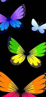 Vibrant butterfly illustration on black background with colorful wings.