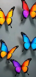 Colorful butterfly pattern on a gray background.