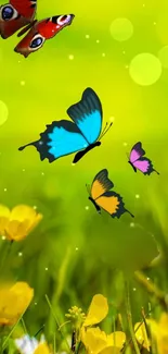 Colorful butterflies flutter over a lush green floral backdrop.