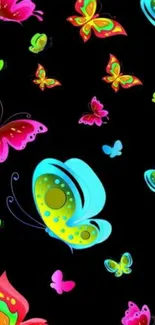 Vibrant, colorful butterfly wallpaper for mobile devices.