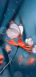 Butterflies resting on orange flowers against a blurred blue background.