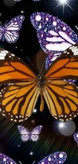 Orange and purple butterflies on dark background wallpaper.