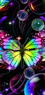 Vibrant butterfly with rainbow colors on black background.