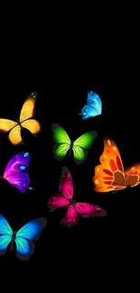 Colorful butterflies on a black background for mobile wallpaper.