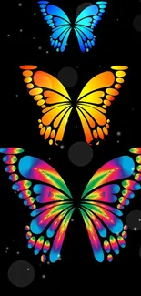 Vibrant butterflies on a black background, perfect for mobile wallpaper.