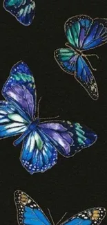 Vibrant blue and teal butterflies on a black background mobile wallpaper.