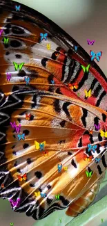 Colorful butterfly perched on a leaf with vibrant orange and red patterns.