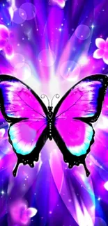 Vibrant purple butterfly wallpaper with glowing floral accents.