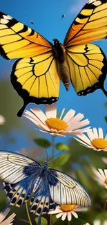 Colorful butterflies fluttering over daisies in a vibrant floral scene.