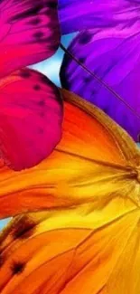 Vibrant and colorful butterfly wallpaper design.