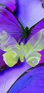 Artistic purple butterfly phone wallpaper with vibrant colors and delicate patterns.