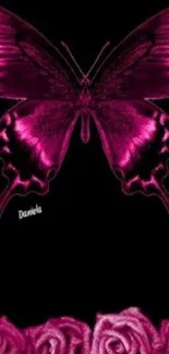 Magenta butterfly and roses on black wallpaper.