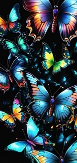 Colorful butterflies with glowing wings on black background.