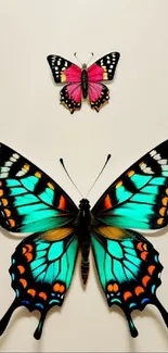 Vibrant butterfly wallpaper with turquoise and pink wings on a cream background.