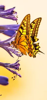 Yellow butterfly on purple flowers with soft background.