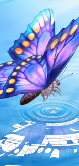 Vibrant purple butterfly reflecting on calm blue water.