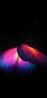 Vibrant glowing butterfly wing on a dark background.