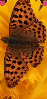 Butterfly on sunflower with smiley emojis.