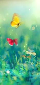 Colorful butterflies hovering above vibrant green grass under sunlight.