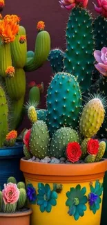 Colorful cacti and flowers in pots.
