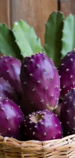 Purple cactus fruits in a basket with lush green leaves.
