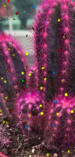 Vibrant magenta cactus with green background in a pot.