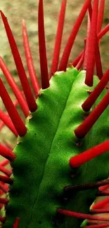 Close-up of cactus with green body and red spikes, vibrant nature wallpaper.