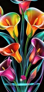 Colorful calla lily flowers against black background.