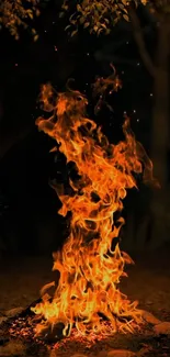 Glowing campfire with vibrant flames in a dark forest setting.