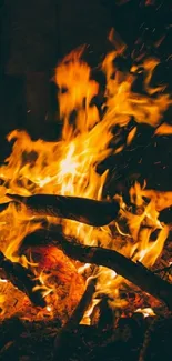 Orange campfire flames with burning logs.