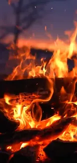 Vibrant campfire flames lighting up the night.