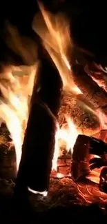 Close-up of glowing campfire flames with charred wooden logs.