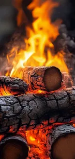 Glowing campfire with burning logs and flames.